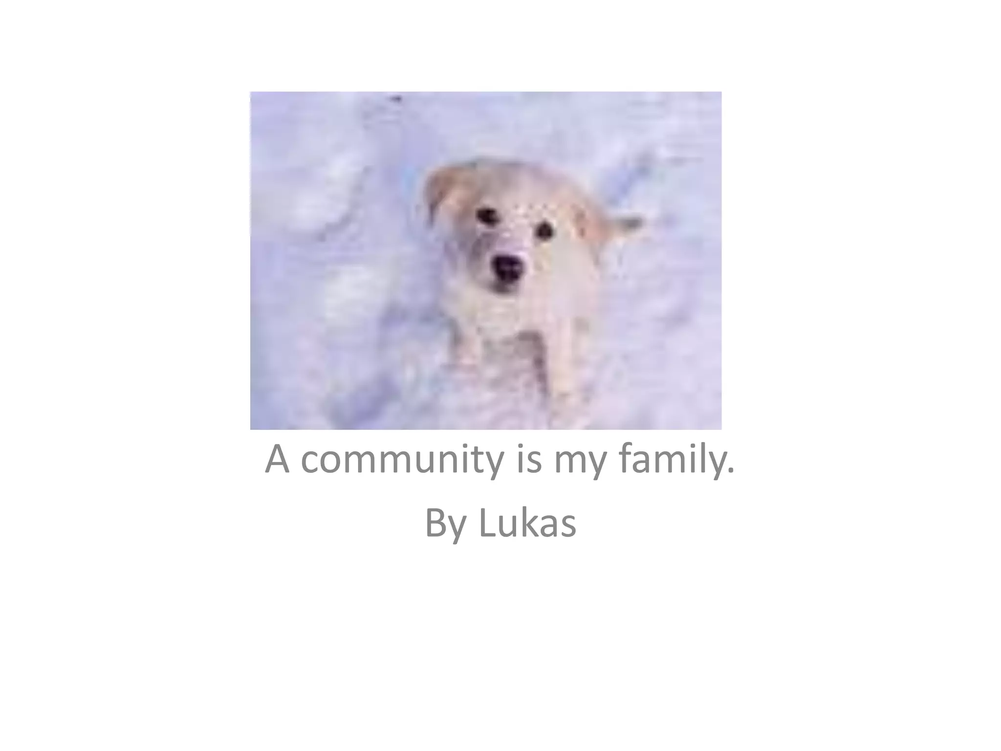 A community is my family.By Lukas