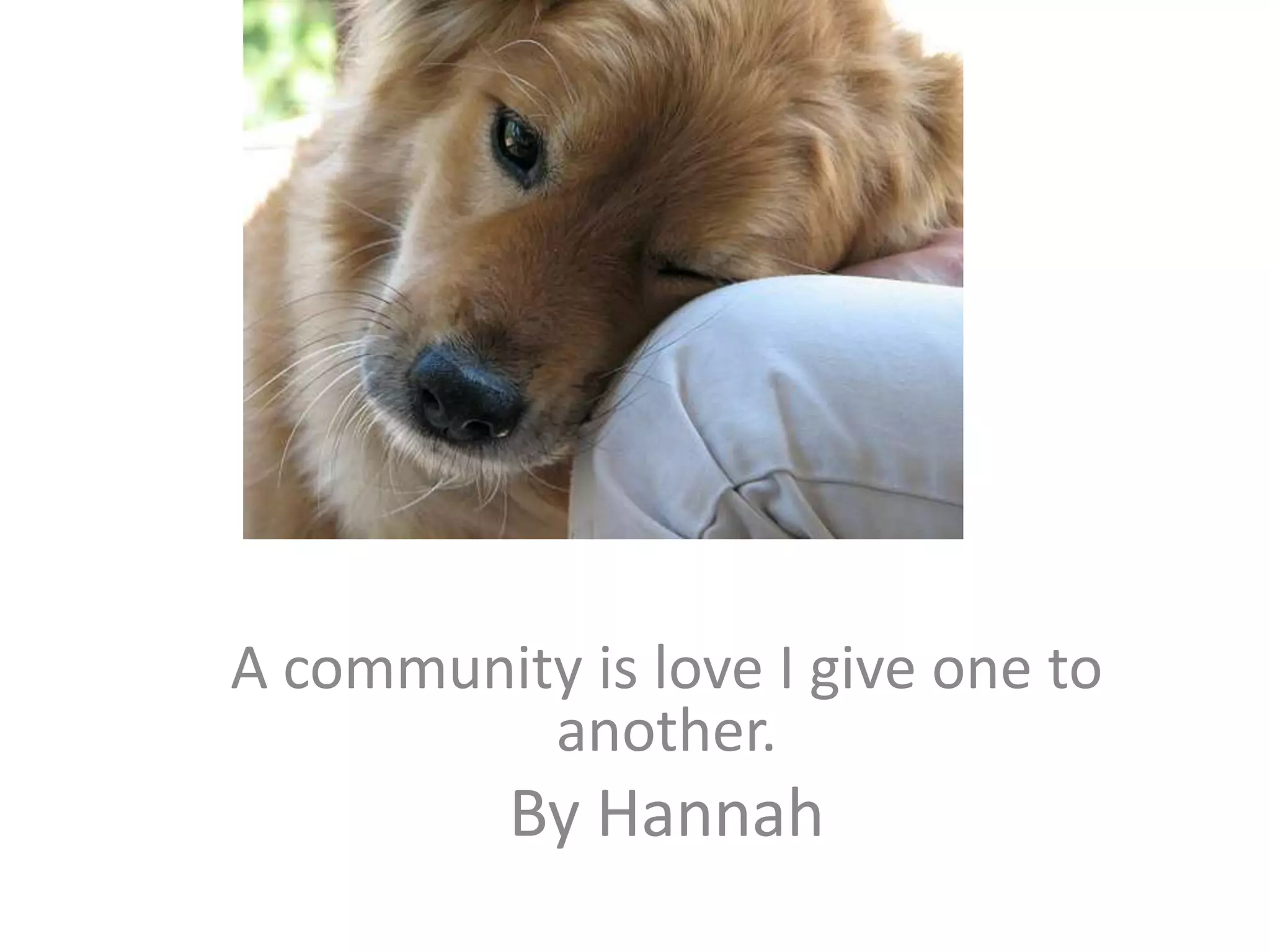 A community is love I give one to another.By Hannah