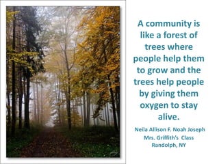 A community is like a forest of trees where people help them to grow and the trees help people by giving them oxygen to stay alive. Neila Allison F. Noah JosephMrs. Griffith’s  Class Randolph, NY