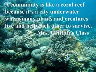 A community is like a coral reef because it’s a city underwater where many plants and creatures live and help each other to survive. 			- Mrs. Griffith’s Class 
