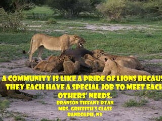 A community is like a pride of lions because they each have a special job to meet each others’ needs.  Branson Tiffany RyanMrs. Griffith’s ClassRandolph, NY