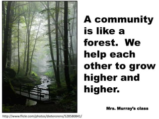 A community is like a forest.  We help each other to grow higher and higher.Mrs. Murray’s classhttp://www.flickr.com/photos/dieterorens/528580841/