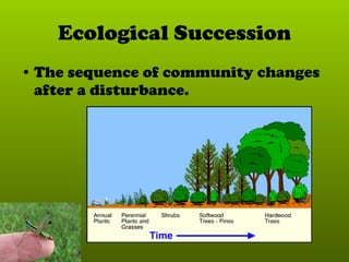 Community structure and dynamics | PPT
