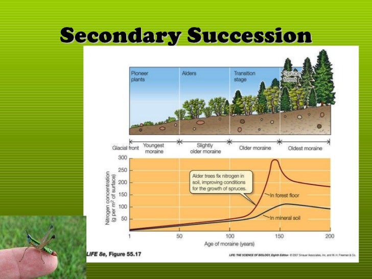 Community structure and dynamics