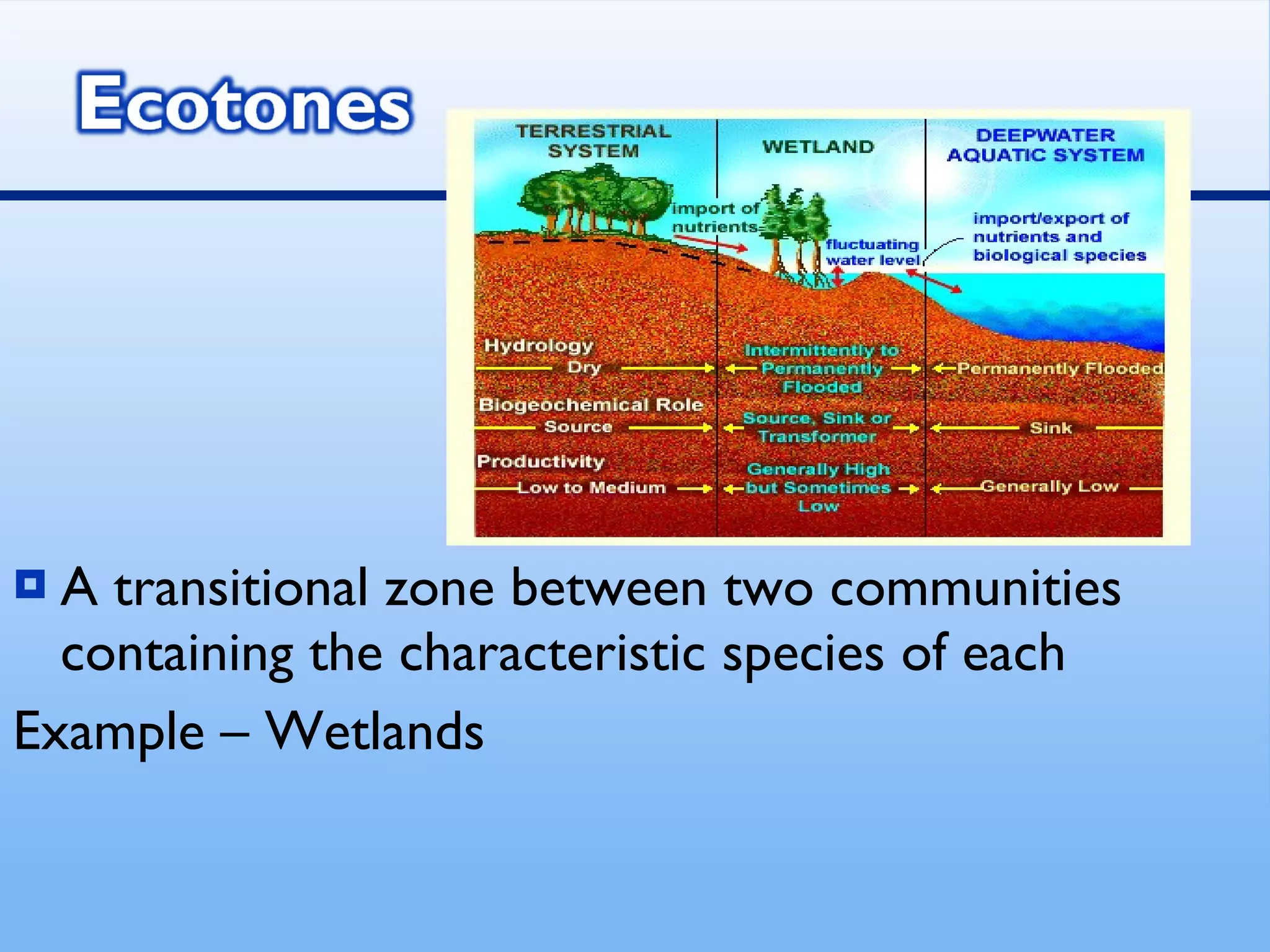 A transitional zone between two communities containing the characteristic species of each Example – Wetlands 