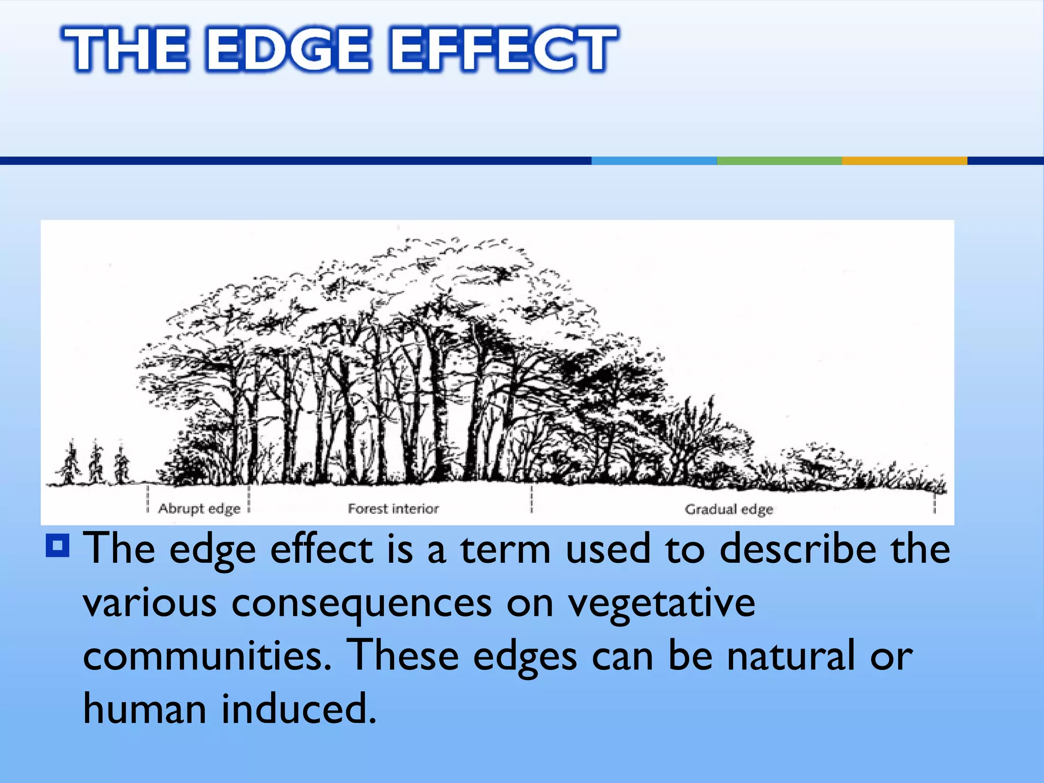 The edge effect is a term used to describe the various consequences on vegetative communities. These edges can be natural or human induced. 