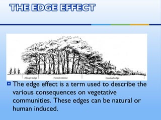 Community Structure Zoljargal | PPT