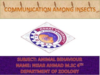 Communucation among insects | PPT