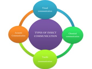 Insects Communication Example Communucation among insects | PPTX