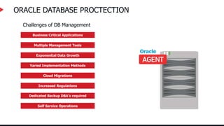 ORACLE DATABASE PROCTECTION
Business Critical Applications
Multiple Management Tools
Exponential Data Growth
Varied Implementation Methods
Cloud Migrations
Increased Regulations
Dedicated Backup DBA’s required
Self Service Operations
Challenges of DB Management
Oracle
 