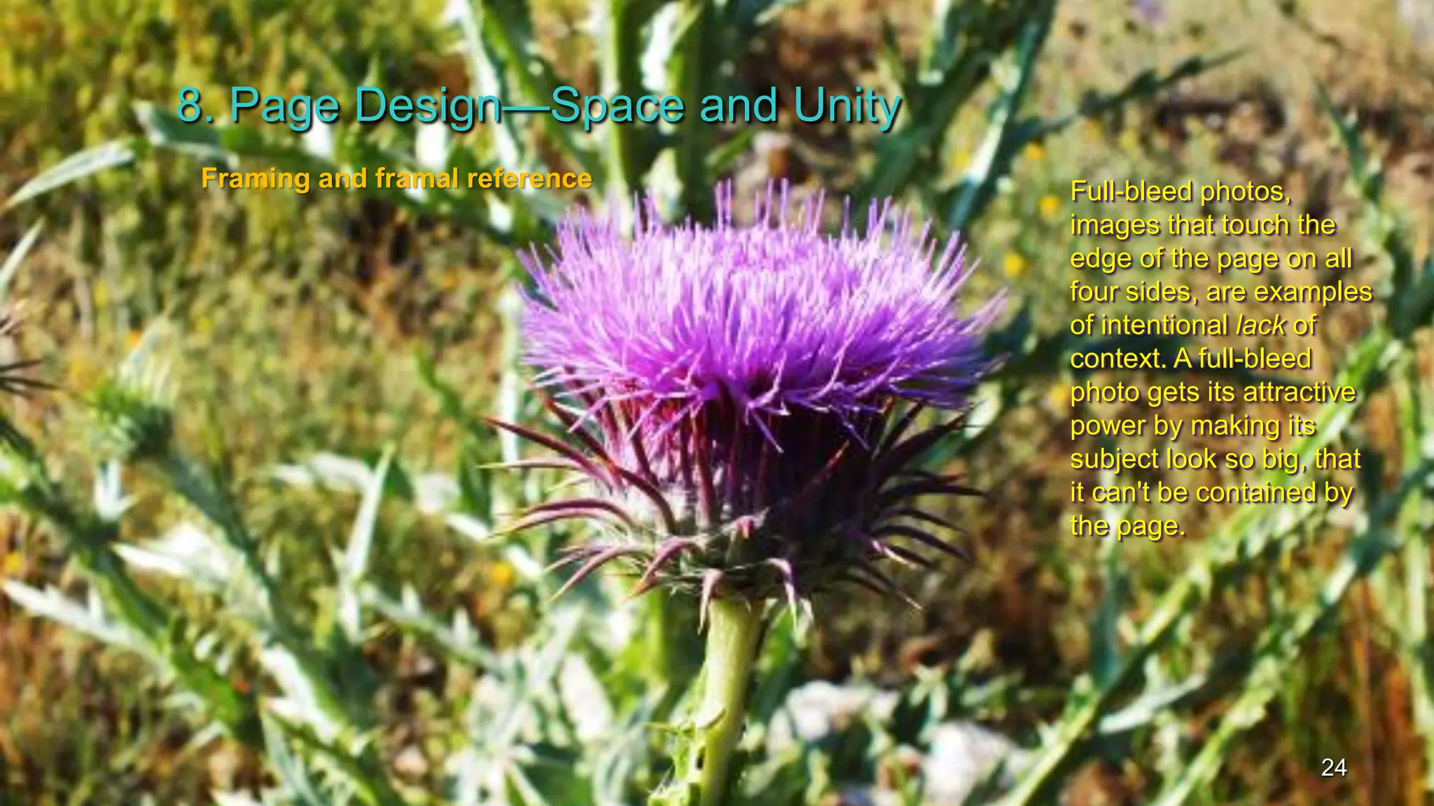 8. Page Design—Space and Unity
24
Framing and framal reference
Full-bleed photos,
images that touch the
edge of the page on all
four sides, are examples
of intentional lack of
context. A full-bleed
photo gets its attractive
power by making its
subject look so big, that
it can't be contained by
the page.
Full-bleed photos,
images that touch the
edge of the page on all
four sides, are examples
of intentional lack of
context. A full-bleed
photo gets its attractive
power by making its
subject look so big, that
it can't be contained by
the page.
 