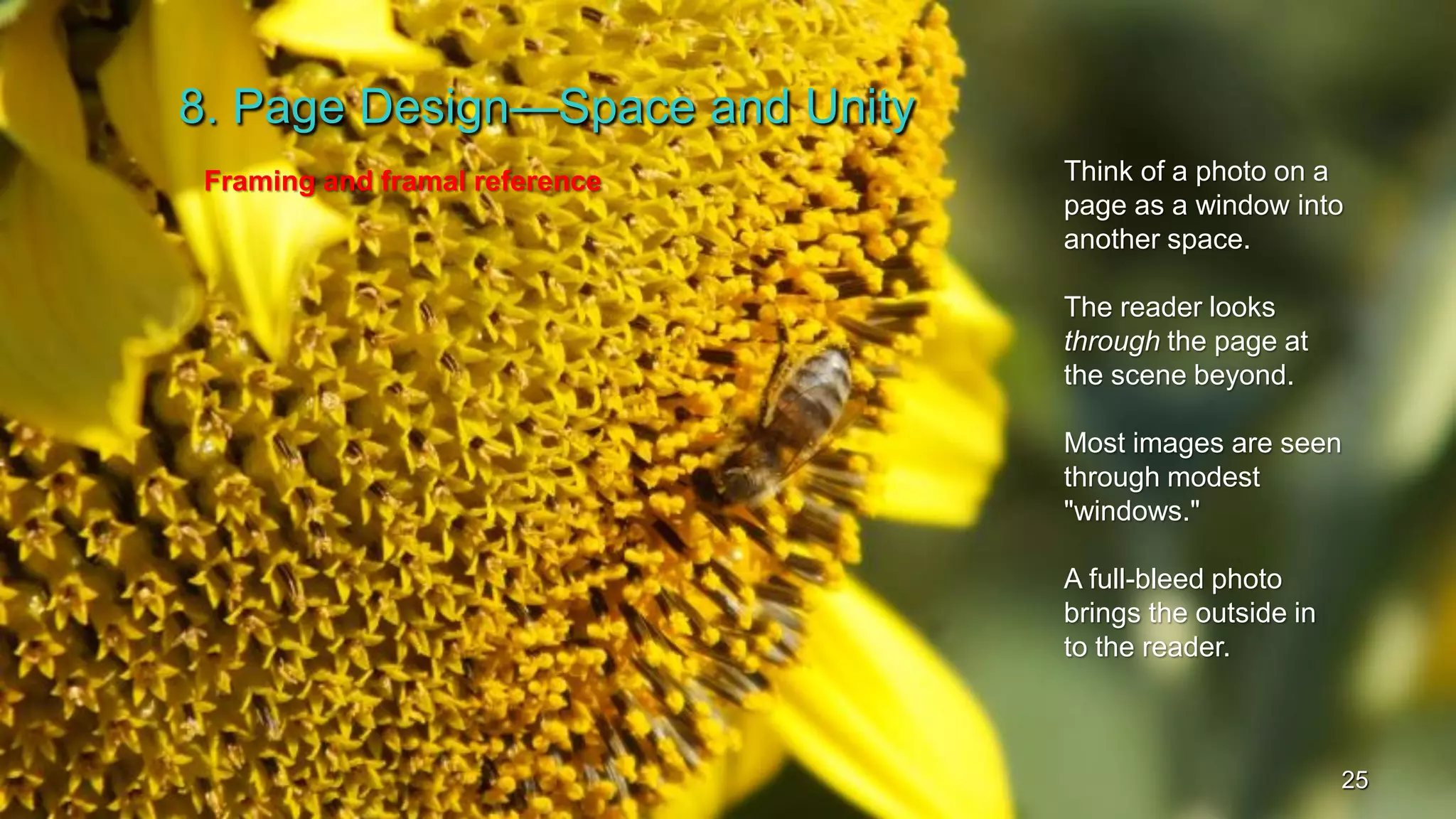 8. Page Design—Space and Unity
25
Framing and framal reference Think of a photo on a
page as a window into
another space.
The reader looks
through the page at
the scene beyond.
Most images are seen
through modest
"windows."
A full-bleed photo
brings the outside in
to the reader.
 