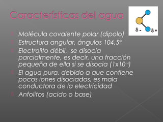  Molécula covalente polar (dipolo)
 Estructura angular, ángulos 104,5º
 Electrolito débil, se disocia
parcialmente, es decir, una fracción
pequeña de ella si se disocia (1x10-14
)
 El agua pura, debido a que contiene
pocos iones disociados, es mala
conductora de la electricidad
 Anfolitos (acido o base)
 