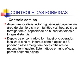 CONTROLE DAS FORMIGAS 
Controle com pó 
 devem-se localizar os formigueiros não apenas na 
área de plantio e sim em talhões vizinhos, pois s a 
formiga tem a capacidade de buscar as folhas a 
longas distancia 
 Depois de encontrado o formigueiro, o operador 
localiza o olheiro, insere o cano e aplica o pó, 
podendo este emergir em novos olheiros do 
mesmo formigueiro. Este método é muito eficaz, 
porém bastante ocioso 
 