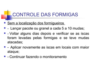 CONTROLE DAS FORMIGAS 
 Sem a localização dos formigueiros 
 - Lançar pacote ou granel a cada 5 a 10 mudas; 
 - Voltar alguns dias depois e verificar se as iscas 
foram levadas pelas formigas e se teve mudas 
atacadas; 
 - Aplicar novamente as iscas em locais com maior 
ataque; 
 - Continuar fazendo o monitoramento 
 
