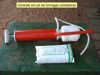 Controle em pó de formigas cortadeiras 
 