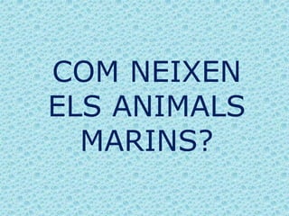 COM NEIXEN
ELS ANIMALS
MARINS?
 