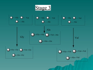 Ala
Gly Val
Ala
Gly Val
Ala
Gly Val
---Gly---Val ---Val---Val
---Ala---Val
---Gly---Ala
---Ala---Ala
---Val---Ala
---Gly---Gly
---Ala---Gly
---Val---Gly
Gly
Ala
Val
Stage 3
 