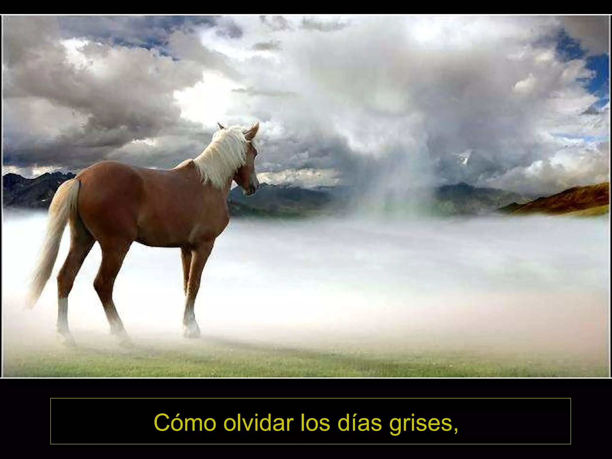 Cómo olvidar los días grises,