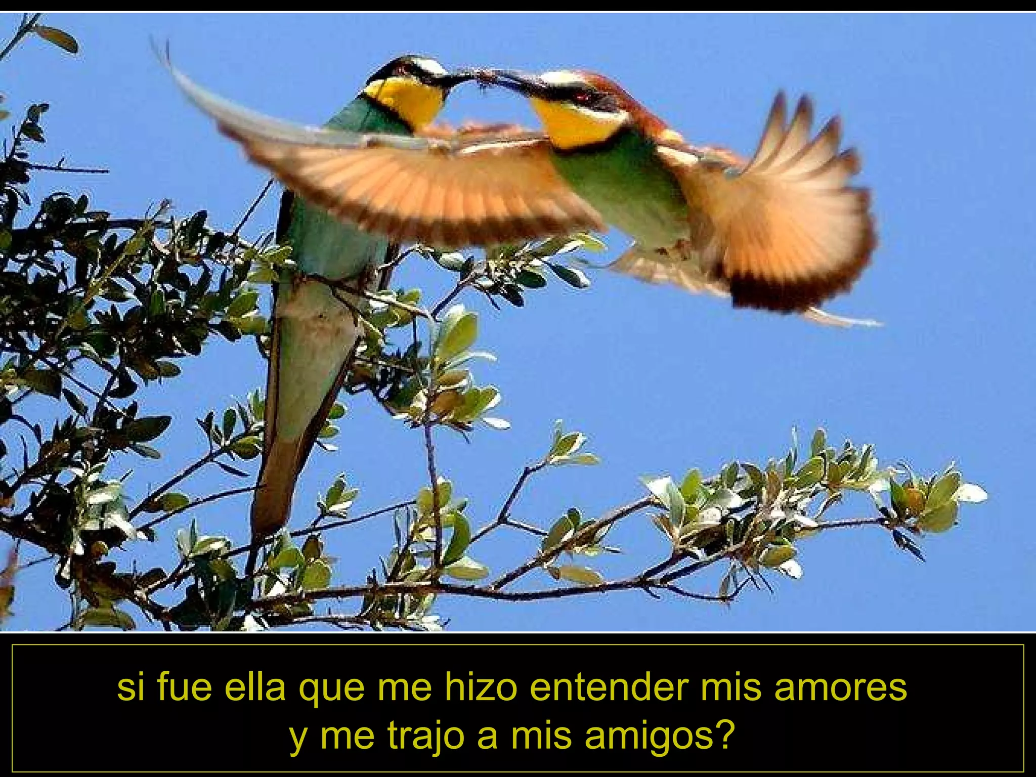 si fue ella que me hizo entender mis amores y me trajo a mis amigos?