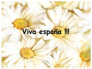 Viva españa !!! 