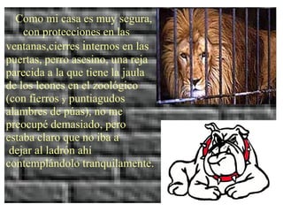 Como mi casa es muy segura, con protecciones en las ventanas, trancas internas en las puertas, perro asesino, una reja parecida a la que tiene la jaula de los osos en el zoológico (con fierros puntiagudos y alambres de púas), no me preocupé demasiado, pero estaba claro que no iba a dejar al ladrón ahí contemplándolo tranquilamente. Como mi casa es muy segura,  con protecciones en las  ventanas,cierres  i nternos en las puertas, perro asesino, una reja parecida a la que tiene la jaula de los leones en el zoológico  (con fierros  y  puntiagudos  alambres de púas), no me preocupé demasiado, pero estaba claro que no iba a dejar al ladrón ahí contemplándolo tranquilamente. 