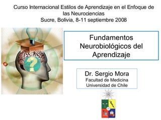 Fundamentos Neurobiológicos del Aprendizaje Dr. Sergio Mora Facultad de Medicina Universidad de Chile Curso Internacional Estilos de Aprendizaje en el Enfoque de las Neurociencias Sucre, Bolivia, 8-11 septiembre 2008 