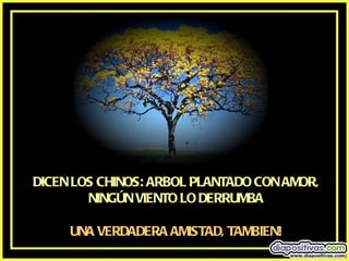 DICEN LOS CHINOS: ARBOL PLANTADO CON AMOR, NINGÚN VIENTO LO DERRUMBA UNA VERDADERA AMISTAD, TAMBIEN! 