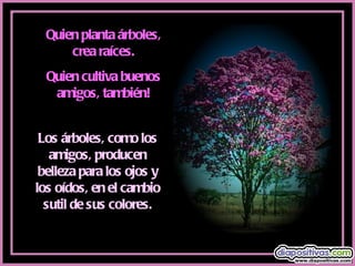 Quien planta árboles, crea raíces. Quien cultiva buenos amigos, también! Los árboles, como los amigos, producen belleza para los ojos y los oídos, en el cambio sutil de sus colores. 