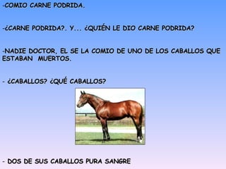 COMIO CARNE PODRIDA. ¿CARNE PODRIDA?. Y... ¿QUIÉN LE DIO CARNE PODRIDA? NADIE DOCTOR, EL SE LA COMIO DE UNO DE LOS CABALLOS QUE ESTABAN  MUERTOS. ¿CABALLOS? ¿QUÉ CABALLOS? DOS DE SUS CABALLOS PURA SANGRE 
