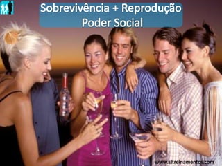 www.sltreinamentos.com
 