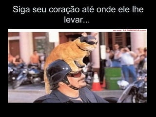 Siga seu coração até onde ele lhe levar...  