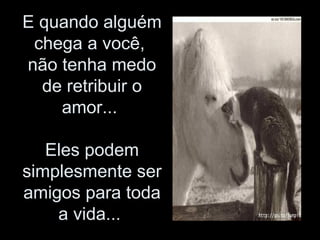 E quando alguém chega a você,  não tenha medo de retribuir o amor...  Eles podem simplesmente ser amigos para toda a vida...  