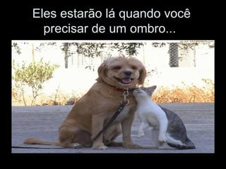 Eles estarão lá quando você precisar de um ombro...  