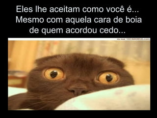 Eles lhe aceitam como você é...  Mesmo com aquela cara de boia de quem acordou cedo...  