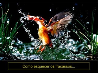 Como esquecer os fracassos... 