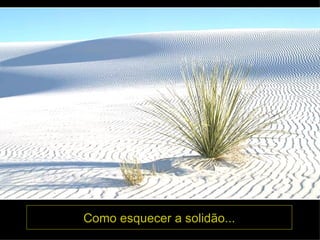 Como esquecer a solidão... 