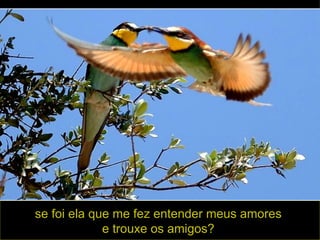 se foi ela que me fez entender meus amores  e trouxe os amigos?  