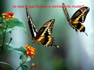 se elas é que fizeram a minha sorte mudar?   