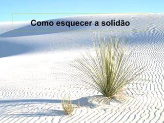 Como esquecer a solidão 