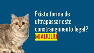 Existe forma de
ultrapassar este
constrangimento legal?
MIAUUUU
 