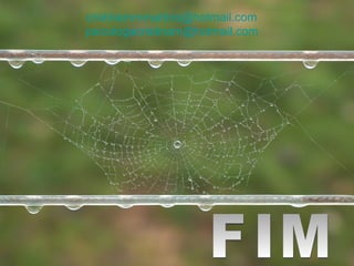[email_address] [email_address] FIM 