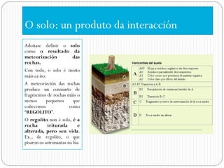O solo: un produto da interacción
Adoitase definir o solo
como o resultado da
meteorización            das
rochas.
Con todo, o solo é moito
máis ca iso.
A meteorizción das rochas
produce un conxunto de
fragmentos de rochas máis o
menos       pequenos      que
coñecemos               como
“REGOLITO”.
O regolito non é solo, é a
rocha        triturada      e
alterada, pero sen vida.
Ex., de regolito, o que
pisaron os astronautas na lúa
 