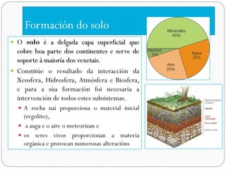 Formación do solo
 O solo é a delgada capa superficial que
  cobre boa parte dos continentes e serve de
  soporte á maioría dos vexetais.
 Constitúe o resultado da interacción da
  Xeosfera, Hidrosfera, Atmósfera e Biosfera,
  e para a súa formación foi necesaria a
  intervención de todos estes subsistemas.
   A rocha nai proporciona o material inicial
    (regolito),
   a auga e o aire o meteorizan e
   os seres vivos proporcionan a materia
    orgánica e provocan numerosas alteracións
 