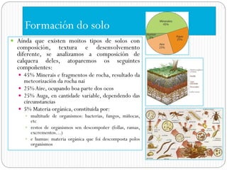 Formación do solo
 Aínda que existen moitos tipos de solos con
  composición, textura e desenvolvemento
  diferente, se analizamos a composición de
  calquera deles, atoparemos os seguintes
  compoñentes:
   45% Minerais e fragmentos de rocha, resultado da
    meteorización da rocha nai
   25% Aire, ocupando boa parte dos ocos
   25% Auga, en cantidade variable, dependendo das
    circunstancias
   5% Materia orgánica, constituida por:
      multitude de organismos: bacterias, fungos, miñocas,
       etc
      restos de organismos sen descompoñer (follas, ramas,
       excrementos…)
      e humus: materia orgánica que foi descomposta polos
       organismos
 
