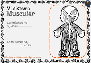 Mi sistema
Muscular
Los musculos me
ayudan a .
En mi cuerpo hay
musculos.
,
,
http://www.actividadesdeinfantilyprimaria.com/