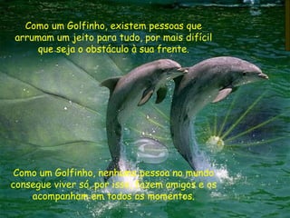 Como um Golfinho, existem pessoas que arrumam um jeito para tudo, por mais difícil que seja o obstáculo à sua frente. Como um Golfinho, nenhuma pessoa no mundo consegue viver só, por isso, fazem amigos e os acompanham em todos os momentos. 