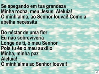 Se apegando em tua grandeza Minha rocha, meu Jesus. Aleluia! Ó minh’alma, ao Senhor louvai! Como a abelha necessita Do néctar de uma flor Eu não sobreviveria Longe de ti, ó meu Senhor Pois tu és o meu auxílio Minha, minha paz Aleluia! Ó minh’alma ao Senhor louvai!