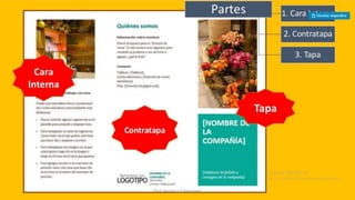 Como-hacer-folleto-word-8.pptx