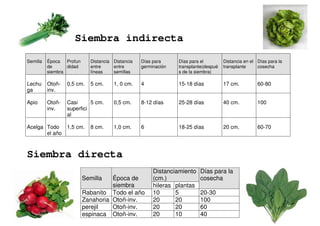 Siembra indirecta 
Semilla 
Época 
de 
siembra 
Profun 
didad 
Distancia 
entre 
líneas 
Distancia 
entre 
semillas 
Siembra directa 
Días para 
germinación 
Días para el 
transplante(despué 
s de la siembra) 
Distancia en el 
transplante 
Días para la 
cosecha 
Lechu 
ga 
Otoñ-inv. 
0,5 cm. 
5 cm. 
1, 0 cm. 
4 
15-18 días 
17 cm. 
60-80 
Apio 
Otoñ-inv. 
Casi 
superfici 
al 
5 cm. 
0,5 cm. 
8-12 días 
25-28 días 
40 cm. 
100 
Acelga 
Todo 
el año 
1,5 cm. 
8 cm. 
1,0 cm. 
6 
18-25 días 
20 cm. 
60-70 
Distanciamiento 
(cm.) 
Semilla 
Época de 
siembra hileras plantas 
Días para la 
cosecha 
Rabanito Todo el año 10 5 20-30 
Zanahoria Otoñ-inv. 20 20 100 
perejil Otoñ-inv. 20 20 60 
espinaca Otoñ-inv. 20 10 40 
